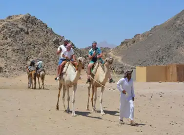 Marsa Alam Desert Quad Bike & Bedouin Tour
